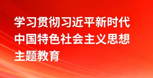 學(xué)習貫徹習近平新時(shí)代中國特色社會(huì )主義思想主題教育