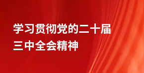 學習貫徹黨的二十屆三中全會精神