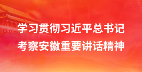 學習貫徹習近平總書記考察安徽重要講話精神